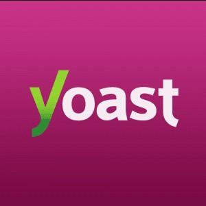 افزونه وردپرس yoast seo premium یوست سئو پریمیوم فارسی